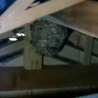 画像1475：松阪市愛宕町にてトタン張り替え