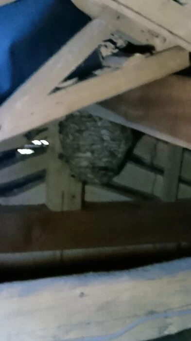 画像1475：松阪市愛宕町にてトタン張り替え