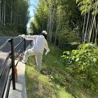画像1478：松阪市愛宕町にてトタン張り替え