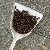 画像1490：松阪市愛宕町にてトタン張り替え