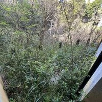 画像1516：松阪市愛宕町にてトタン張り替え
