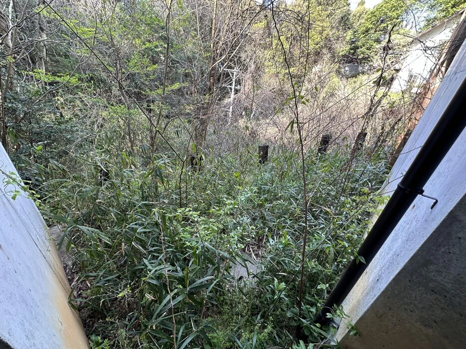 画像1516：松阪市愛宕町にてトタン張り替え