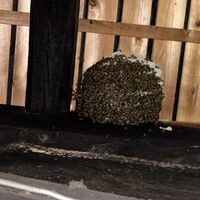 画像1560：松阪市愛宕町にてトタン張り替え