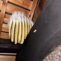 画像1561：松阪市愛宕町にてトタン張り替え