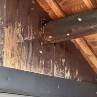 画像1562：松阪市愛宕町にてトタン張り替え