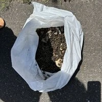 画像1563：松阪市愛宕町にてトタン張り替え