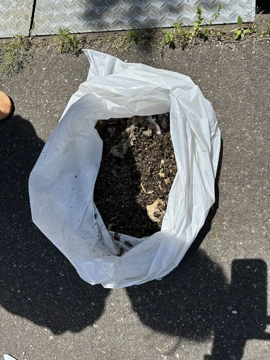 画像1563：松阪市愛宕町にてトタン張り替え