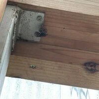 画像1606：松阪市愛宕町にてトタン張り替え